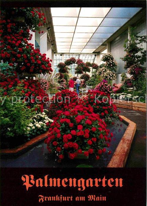 Frankfurt Main Palmengarten