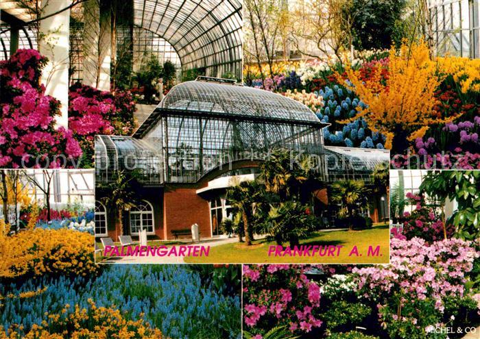 Frankfurt Main Palmengarten Details