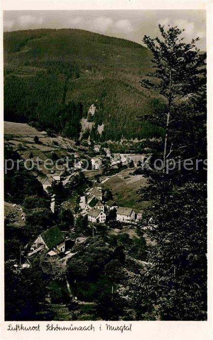 Schoenmuenzach Panorama