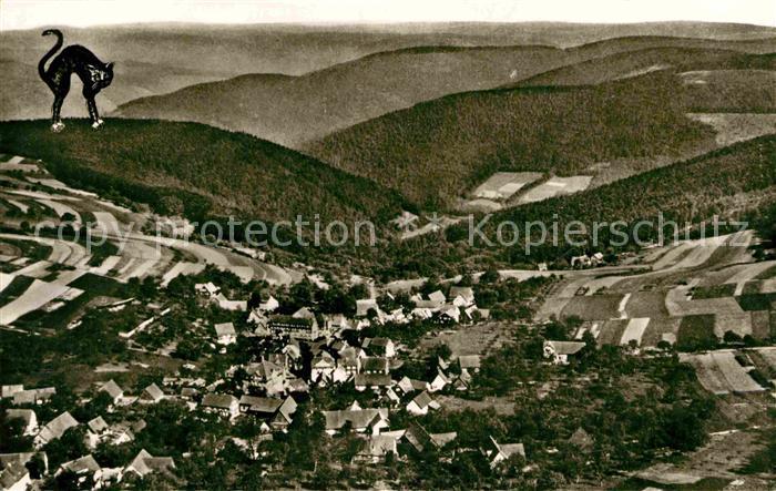 Waldkatzenbach Gesamtansicht