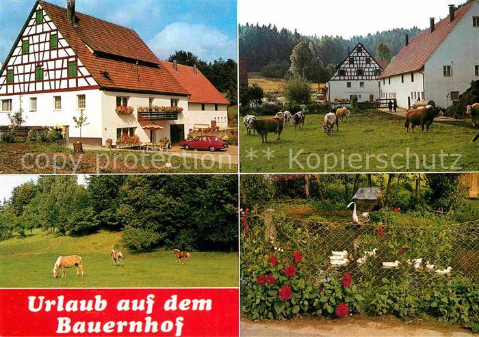 Velden Mittelfranken Urlaub auf dem Bauernhof