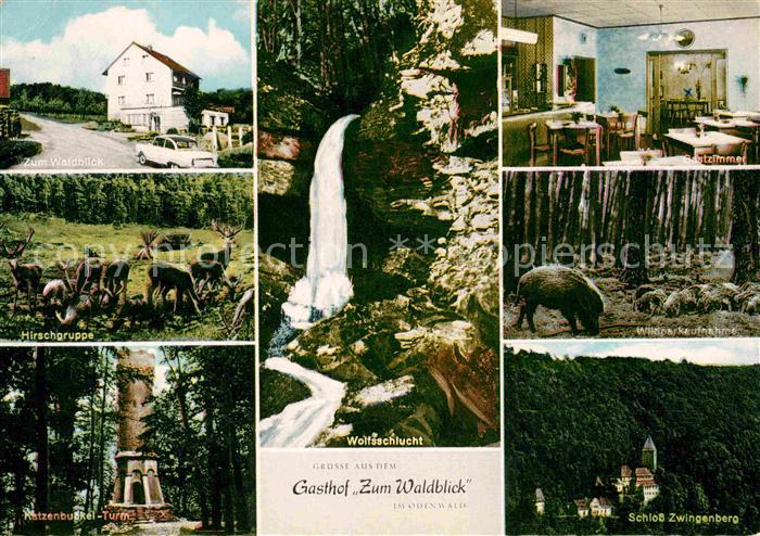 Oberdielbach Gasthof Pension Zum Waldblick