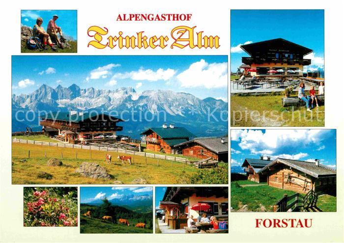 Forstau Alpengasthof Trinker Alm