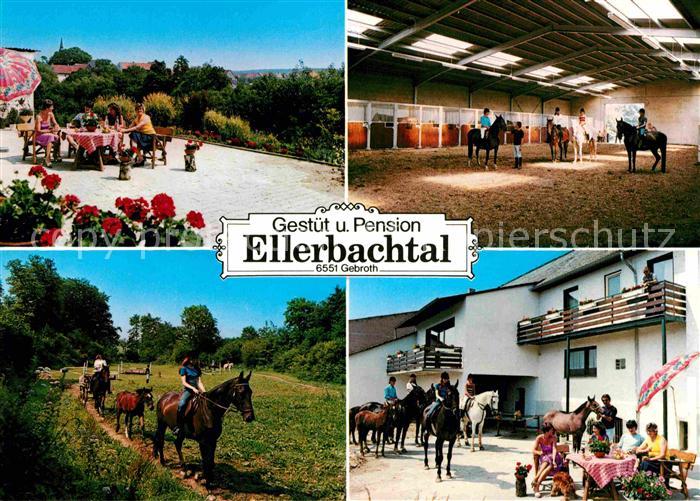 Gebroth Gestuet und Pension Ellerbachtal Pferde