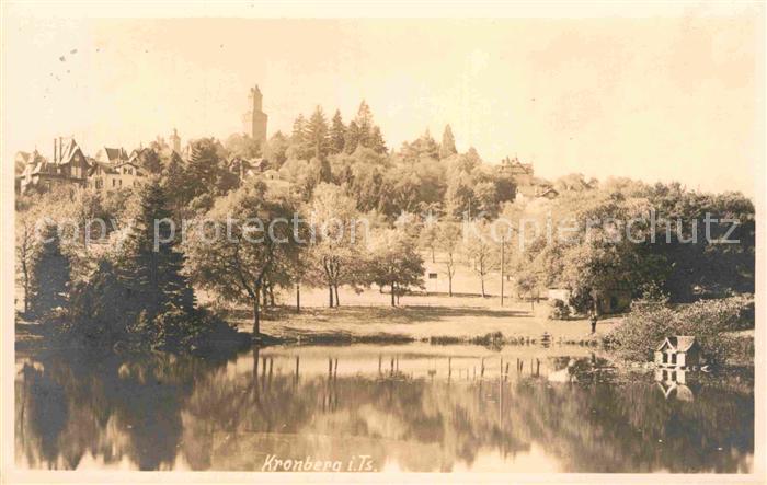 Kronberg Taunus Schwanenteich