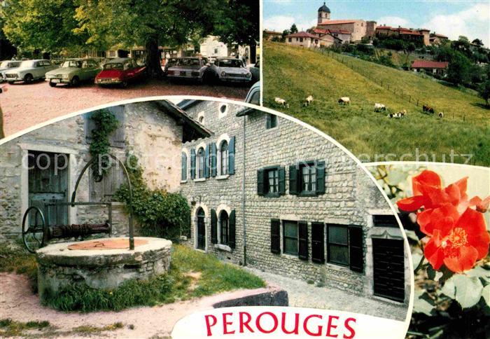 Perouges Cite Medievale Fontaine Fleur