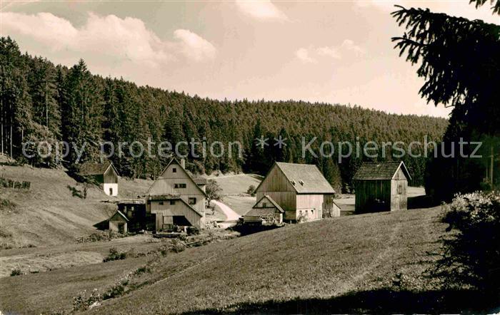 Herzogsweiler Zinsbachtal