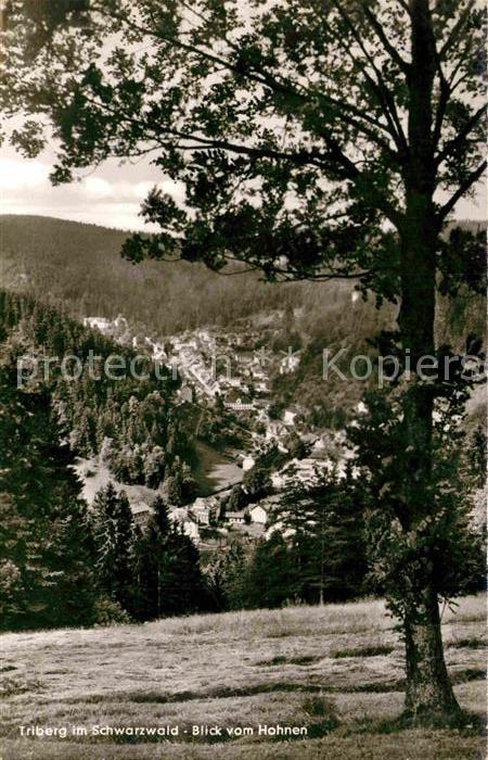 Triberg Schwarzwald Blick vom Hohnen