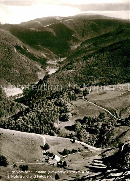 Schauinsland Hofsgrund Feldberg