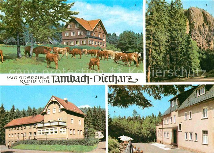 Tambach-Dietharz Berghotel Ebertswiese Falkenstein Rodebachmuehle