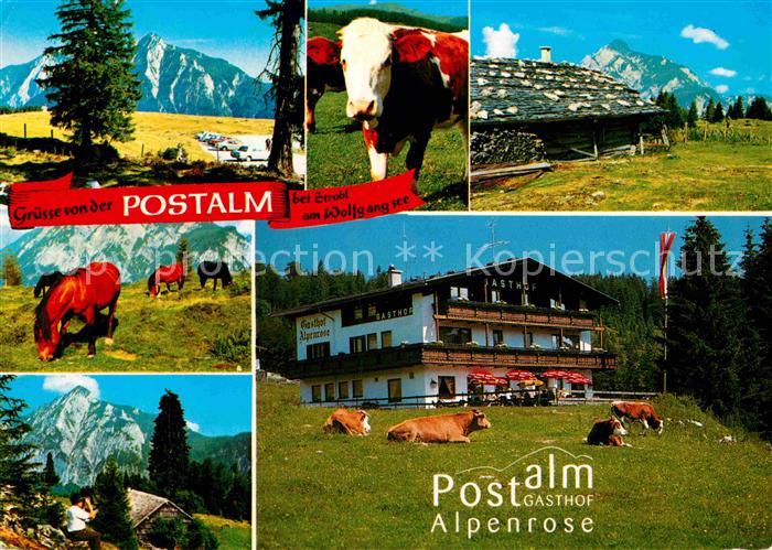Strobl Postalm Gasthof Alpenrose