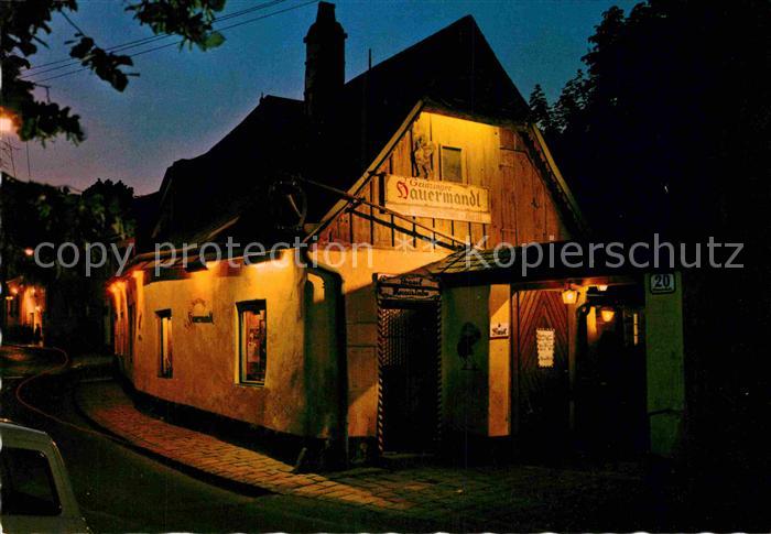 Wien Heurige Hauermandl