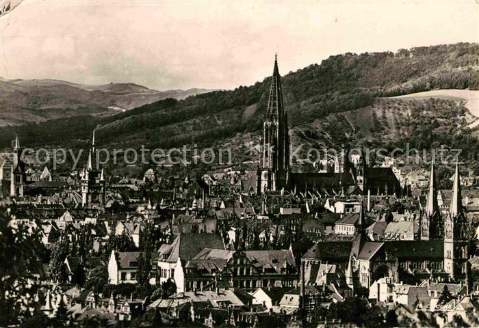 Freiburg Breisgau Stadtblick mit Muenster