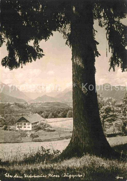 Murnau Staffelsee Murnauer Moos