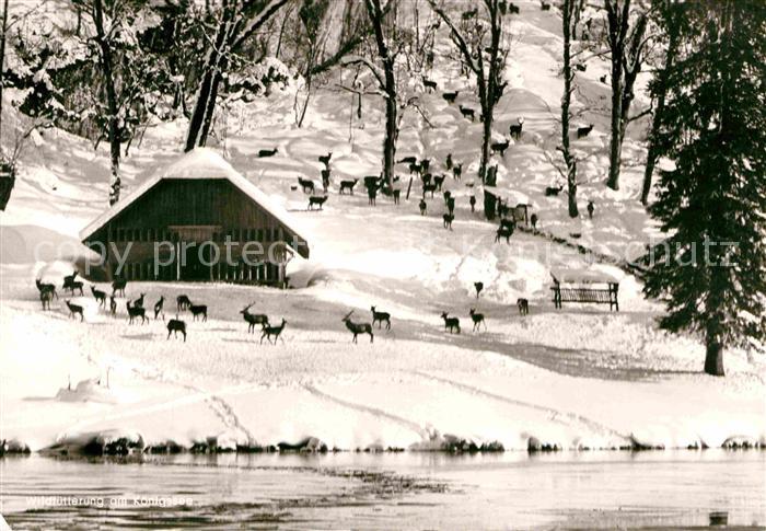 St Bartholomae Wildfuetterung