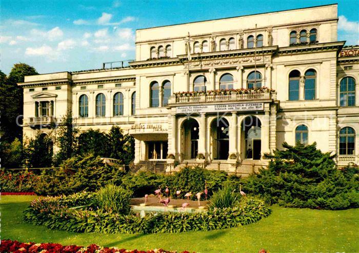 Frankfurt Main Flamingos im Zoo