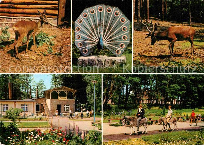 Ueckermuende Mecklenburg Vorpommern Tierpark