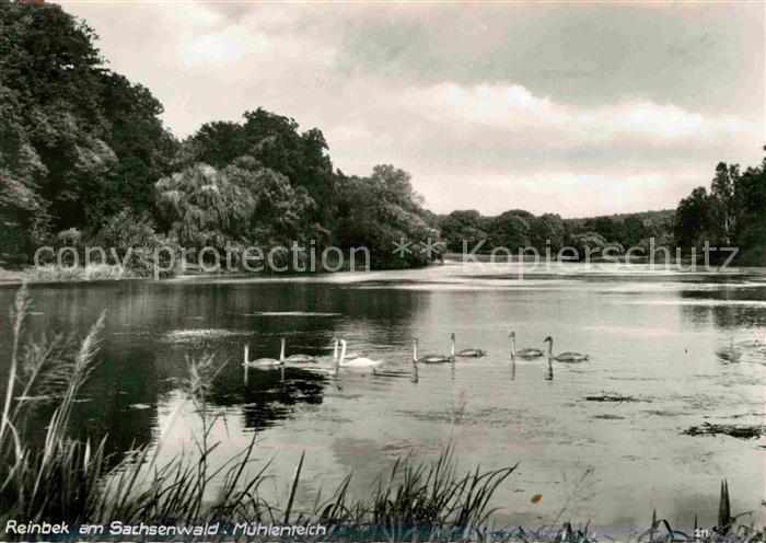 Reinbek Muehlenteich