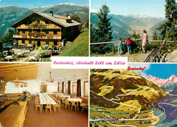 Zell Ziller Tirol Enzianhof Aussichtspunkt Gastraum Panorama