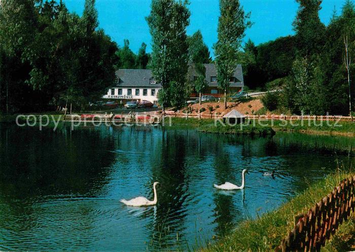 Manderscheid Eifel Hotel Cafe Heidsmuehle Schwaene
