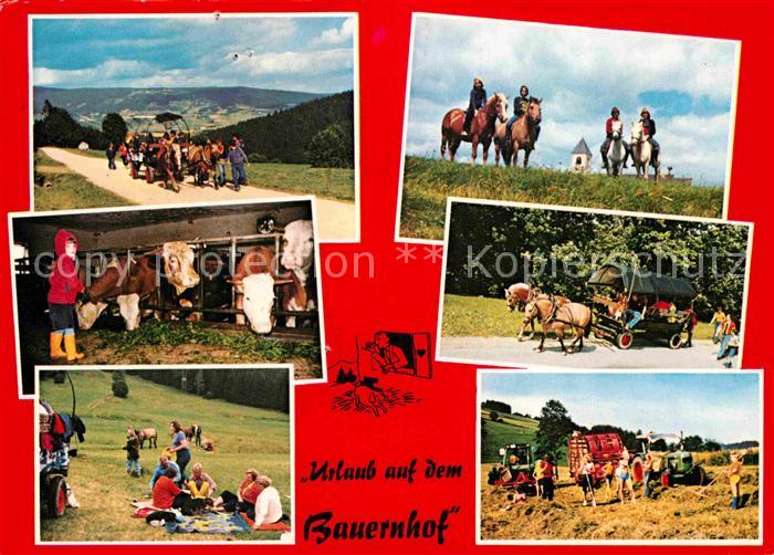 Boehmzwiesel Niederbayern Urlaub auf dem Bauernhof