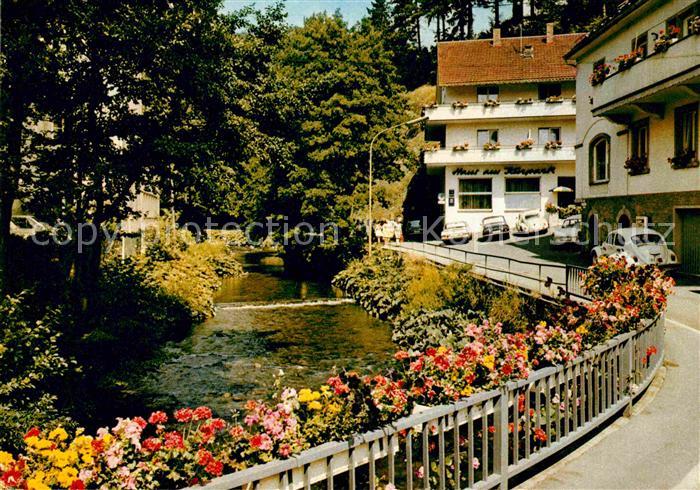 Bad Berneck Partie an der oelschnitz