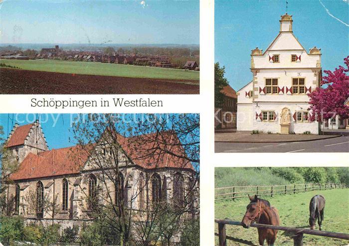 Schoeppingen Panorama Kirche Gebaeude Pferde