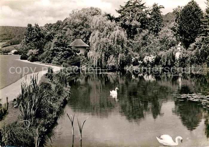 Bad Pyrmont Schwanenteich