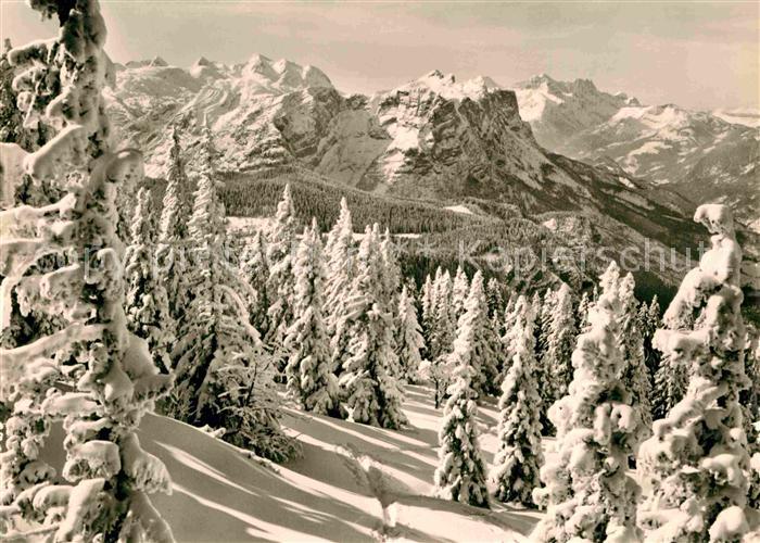 Bad Reichenhall am Predigtstuhl mit Reiteralpe und Loferer Steinberge