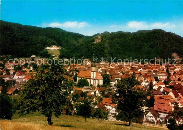 Waldkirch Breisgau Teilansicht
