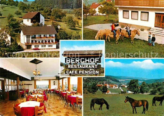Erzbach Gaststaette Pension Berghof Speisesaal Reiten