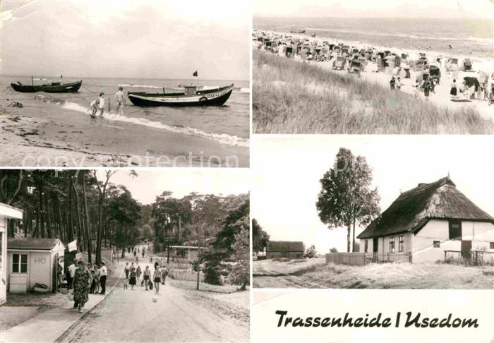Trassenheide Usedom Strand Typisches Haus