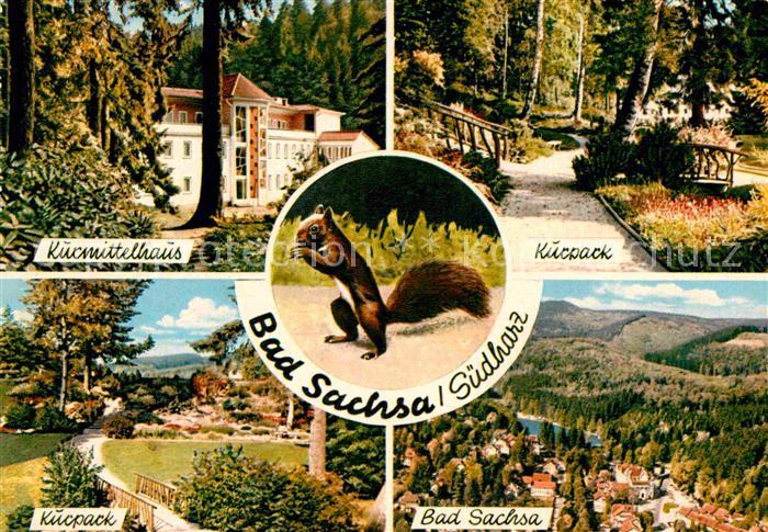 Bad Sachsa Harz Kurpark Kurmittelhaus Kurpark