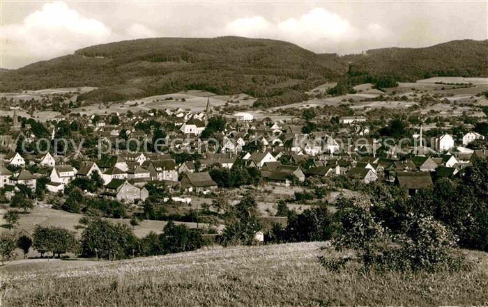 Fuerth Odenwald Panorama