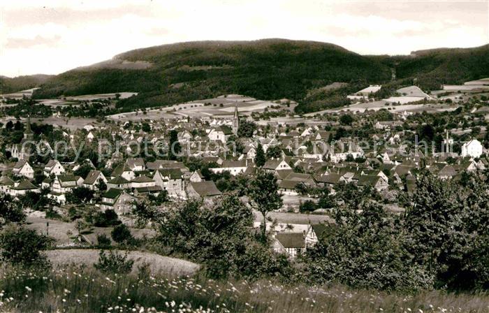 Fuerth Odenwald Panorama