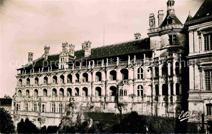 Blois 41 chateau