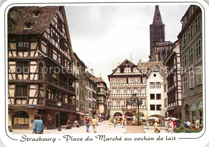 Strasbourg Alsace Ferkelmarktplatz Fachwerk