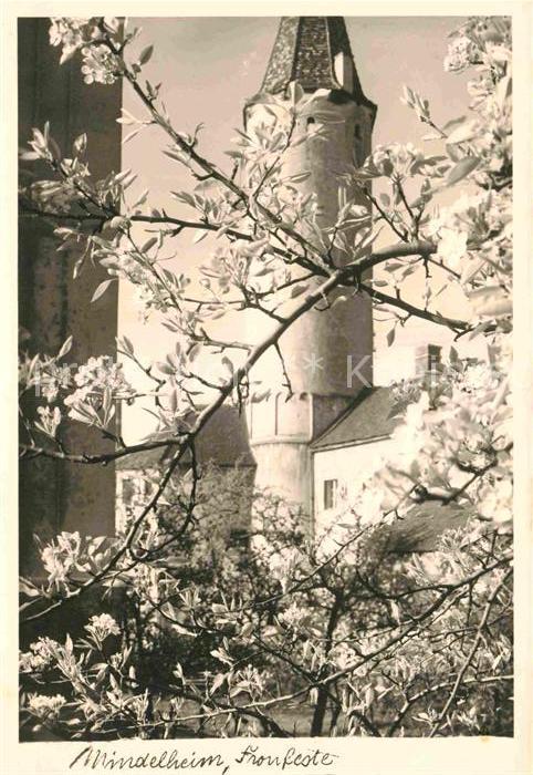 Mindelheim Fronfeste