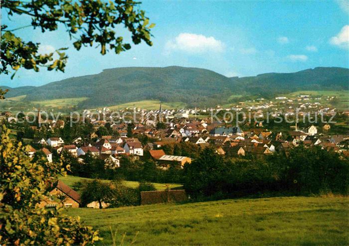 Fuerth Odenwald Panorama