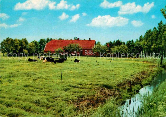 Bensersiel Bauernhof Kuhweide