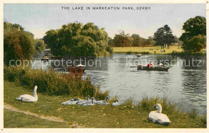 Derby Derbyshire Lake in Markeaton Park Schwaene Boote