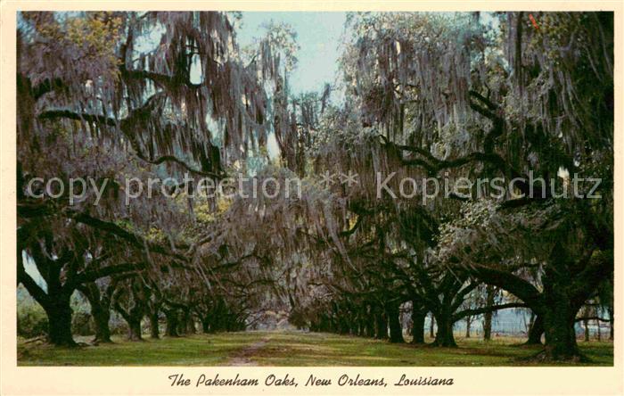 New Orleans Louisiana Pakeham Oaks