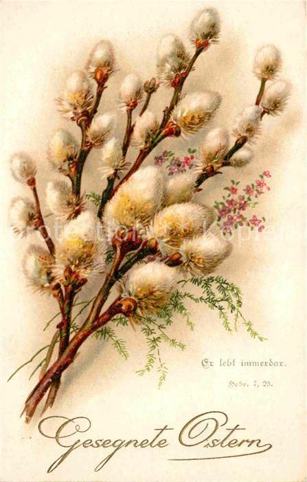 Ostern Easter Paques Weidenkaetzchen Litho