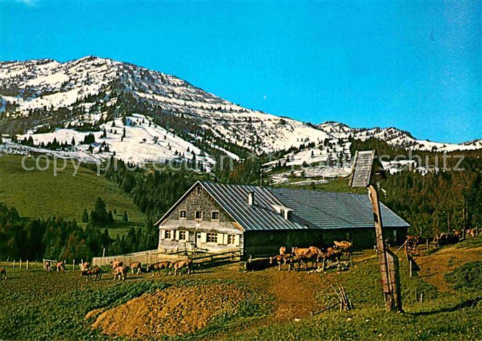 Steibis Oberstaufen Bayern Alpe Remmelegg Einegundkopf