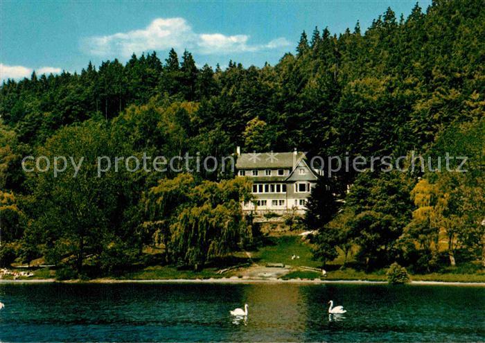 Asel Voehl Hohe Fahrt am Edersee Jugendherberge