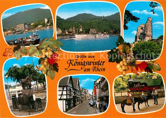Koenigswinter Rheinpartie Ortspartie Ruine