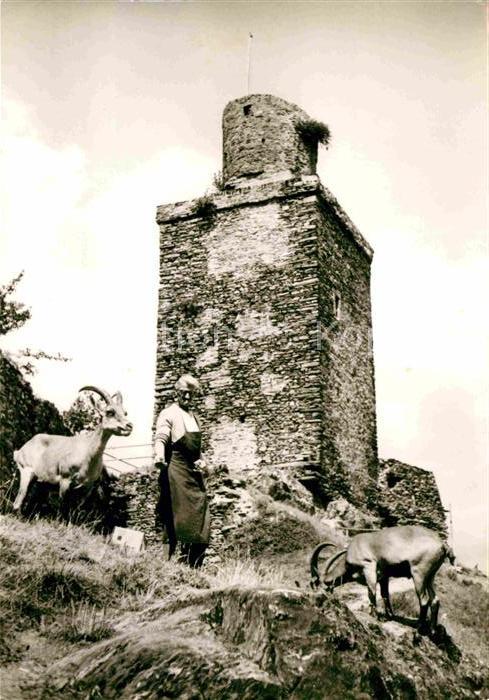 Falkenstein Taunus Burgruine Steichboecke