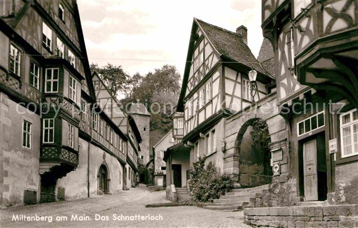 Miltenberg Main Schnatterloch