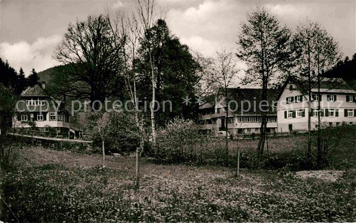 Ehlenbogen Mittlere Muehle