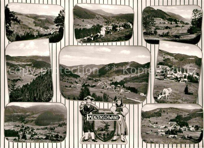 Menzenschwand Panorama Teilansicht Kuhweide